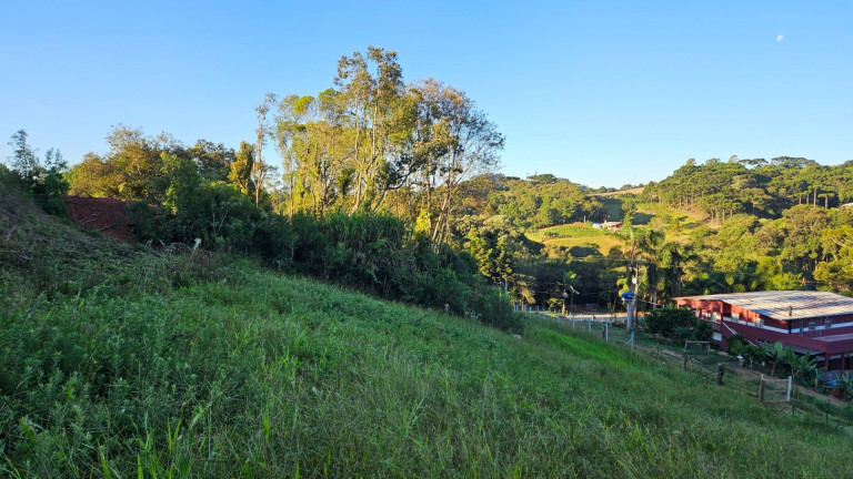 Imagem Fazenda à Venda, em Zona Rural - Araucaria Imagem Fazenda à Venda, em Zona Rural - Araucaria