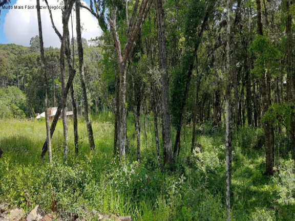 Imagem Terreno à Venda, 364 m² em Linha Imperial - Nova Petrópolis