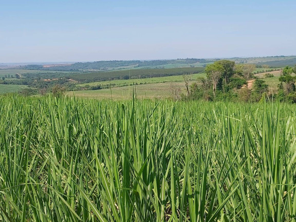 Imagem Chácara à Venda, 35 m² em Centro - Brumadinho Imagem Chácara à Venda, 35 m² em Centro - Brumadinho