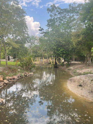 Imagem Chácara com 3 Quartos à Venda, 7.000 m² em Heitoraí