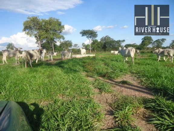 Imagem Fazenda à Venda, 2.750.000 m² em Zona Rural - Jangada