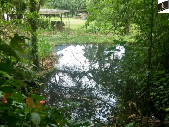 Imagem Imóvel com 3 Quartos à Venda, 49.000 m² em Pirabeiraba (pirabeiraba) - Joinville Imagem Imóvel com 3 Quartos à Venda, 49.000 m² em Pirabeiraba (pirabeiraba) - Joinville