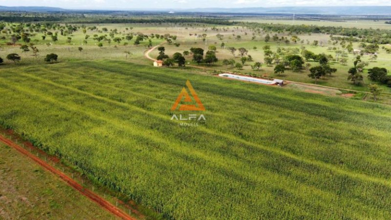 Imagem Fazenda à Venda, 270 m² Imagem Fazenda à Venda, 270 m²