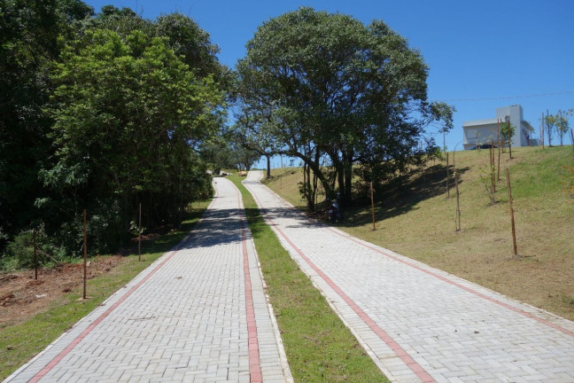 Imagem Terreno à Venda, 391 m² em Tomazetti - Santa Maria Imagem Terreno à Venda, 391 m² em Tomazetti - Santa Maria