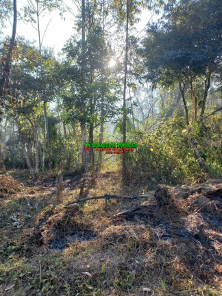 Imagem Chácara à Venda, 20.000 m² em Centro - Monteiro Lobato Imagem Chácara à Venda, 20.000 m² em Centro - Monteiro Lobato