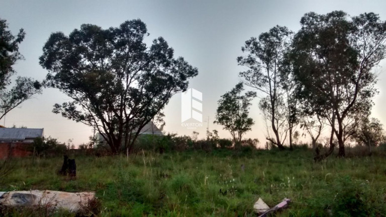 Imagem Terreno à Venda, 980 m² em Cerrito - Santa Maria