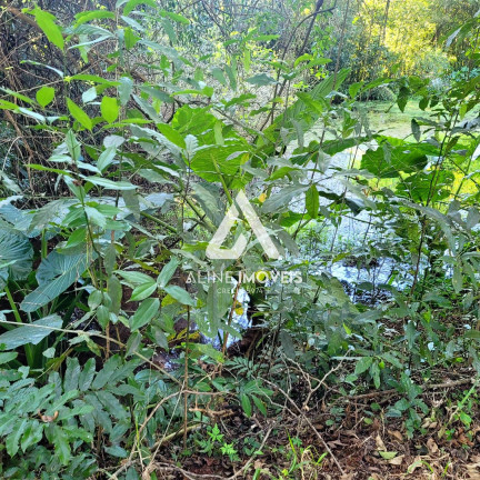 Imagem Fazenda à Venda, em Educacional - Cruz Alta Imagem Fazenda à Venda, em Educacional - Cruz Alta