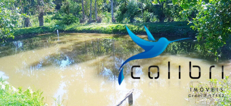 Imagem Chácara com 3 Quartos à Venda, 10.300 m² em Agua Clara - Quitandinha