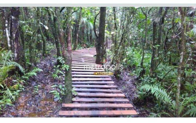 Imagem Terreno à Venda, 450 m² em Pardinho - Pardinho Imagem Terreno à Venda, 450 m² em Pardinho - Pardinho