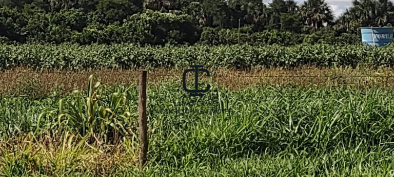 Imagem Terreno à Venda, 4 m² em área Rural - Bandeirantes Imagem Terreno à Venda, 4 m² em área Rural - Bandeirantes