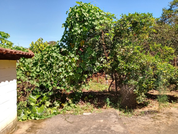 Imagem Imóvel com 2 Quartos à Venda, 2.100 m² em Bairro Roseira (rural) - Campestre