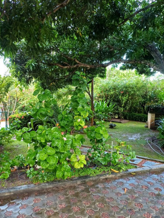 Imagem Casa com 4 Quartos à Venda, 340 m² em Busca Vida - Camaçari