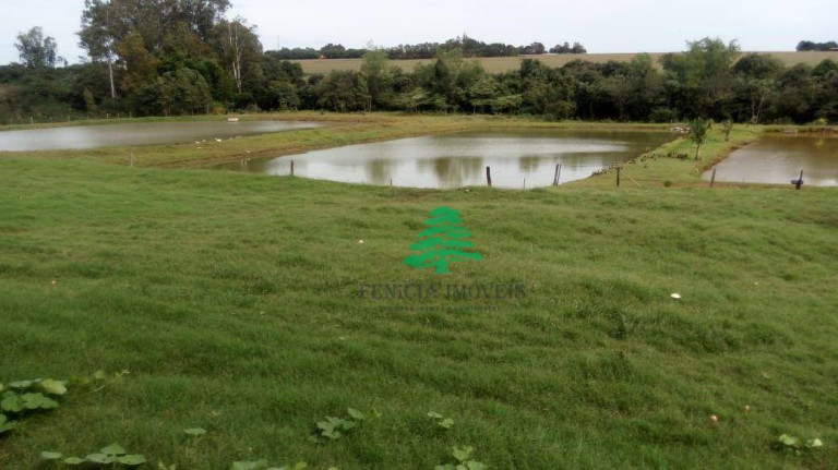 Imagem Chácara à Venda, 27.456 m² em Zona Rural - São Miguel Do Iguaçu Imagem Chácara à Venda, 27.456 m² em Zona Rural - São Miguel Do Iguaçu