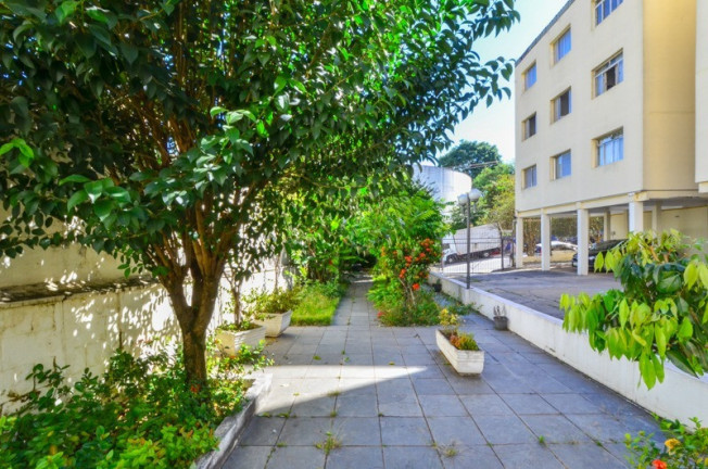 Imagem Apartamento com 2 Quartos à Venda, 65 m² em Vila Mascote - São Paulo Imagem Apartamento com 2 Quartos à Venda, 65 m² em Vila Mascote - São Paulo
