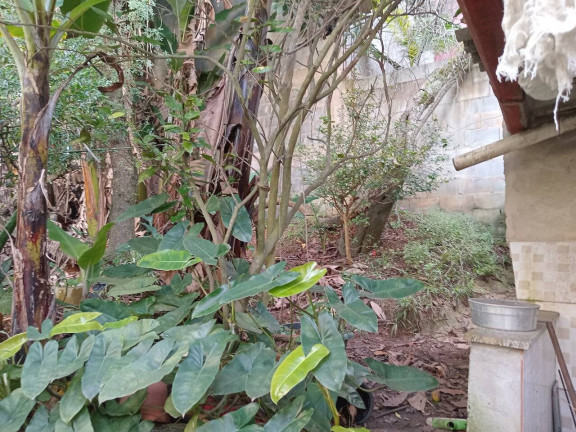 Imagem Casa com 3 Quartos à Venda, 75 m² em Eldorado - Diadema Imagem Casa com 3 Quartos à Venda, 75 m² em Eldorado - Diadema