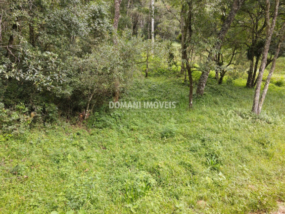Terreno à Venda, 1.270 m² em Região Do Imbiri - Campos Do Jordão
