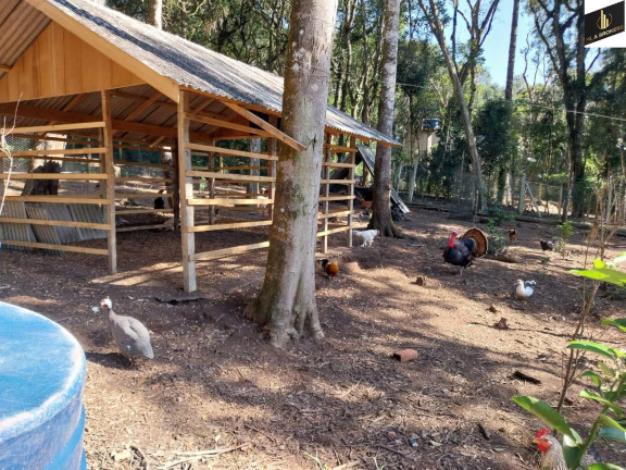 Imagem Imóvel com 5 Quartos à Venda, 30.000 m² em Margens Ro Da Varzea - Quitandinha