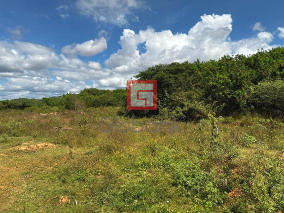 Imagem Terreno à Venda, 5.263 m² em Carmelo - Montes Claros Imagem Terreno à Venda, 5.263 m² em Carmelo - Montes Claros