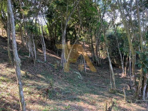 Imagem Fazenda à Venda, 24.000 m² em Itapeva - Imaruí Imagem Fazenda à Venda, 24.000 m² em Itapeva - Imaruí