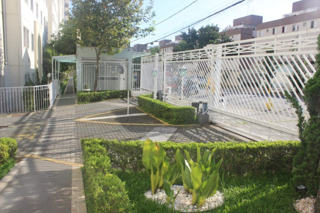 Imagem Apartamento com 2 Quartos à Venda, 45 m² em Jardim Santa Terezinha (zona Leste) - São Paulo Imagem Apartamento com 2 Quartos à Venda, 45 m² em Jardim Santa Terezinha (zona Leste) - São Paulo