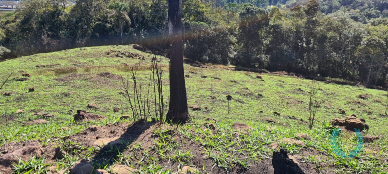 Imagem Chácara com 3 Quartos à Venda, 250 m² em Centro (canguera) - São Roque