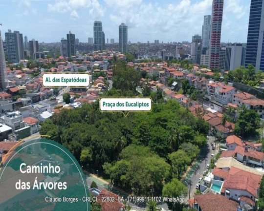 Imagem Apartamento com 2 Quartos à Venda, 72 m² em Caminho Das árvores - Salvador