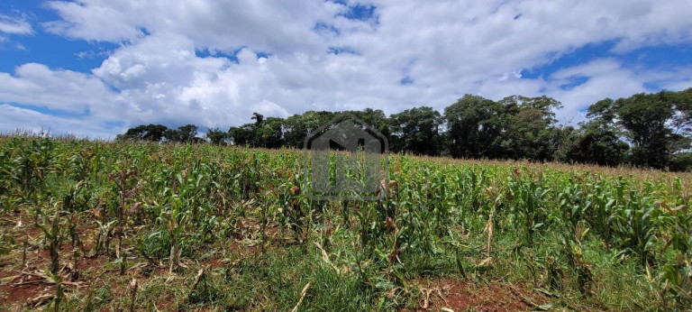 Imagem Imóvel à Venda, 2 m² em Presidente - Cascavel Imagem Imóvel à Venda, 2 m² em Presidente - Cascavel