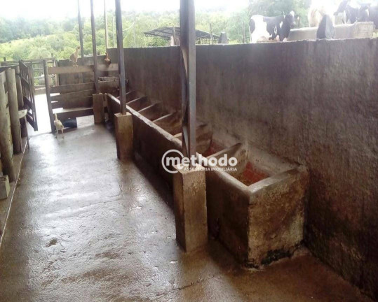 Imagem Fazenda à Venda, 11 m² em Jardim São Benedito - Alpinópolis Imagem Fazenda à Venda, 11 m² em Jardim São Benedito - Alpinópolis