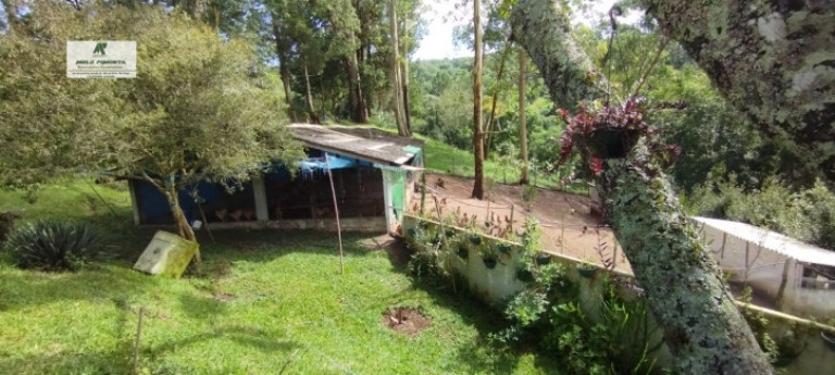 Imagem Chácara com 3 Quartos à Venda, 20.000 m² em Sorocamirim (canguera) - São Roque Imagem Chácara com 3 Quartos à Venda, 20.000 m² em Sorocamirim (canguera) - São Roque