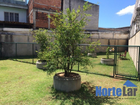 Imagem Apartamento com 2 Quartos à Venda, 50 m² em Vila Palmeiras - São Paulo