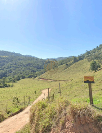 Imagem Fazenda à Venda, 100 m² em Ribeirão Branco - Paraibuna