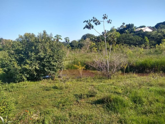 Imagem Imóvel à Venda, 874 m² em Palmeiras - Guaraparia Imagem Imóvel à Venda, 874 m² em Palmeiras - Guaraparia