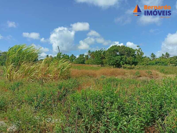 Imagem Chácara à Venda, 145 m² em Coqueiro Do Lagamar - Pindoretama Imagem Chácara à Venda, 145 m² em Coqueiro Do Lagamar - Pindoretama