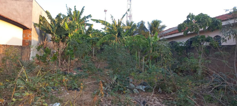 Imagem Terreno à Venda, 401 m² em Centro - Getulina Imagem Terreno à Venda, 401 m² em Centro - Getulina