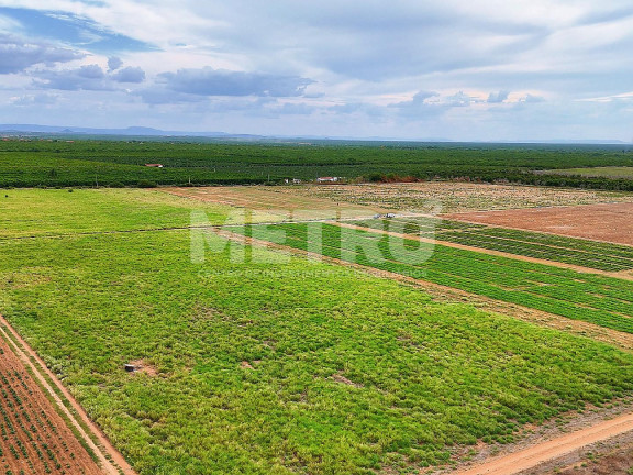 Imagem Fazenda à Venda, em área Rual - Petrolina Imagem Fazenda à Venda, em área Rual - Petrolina