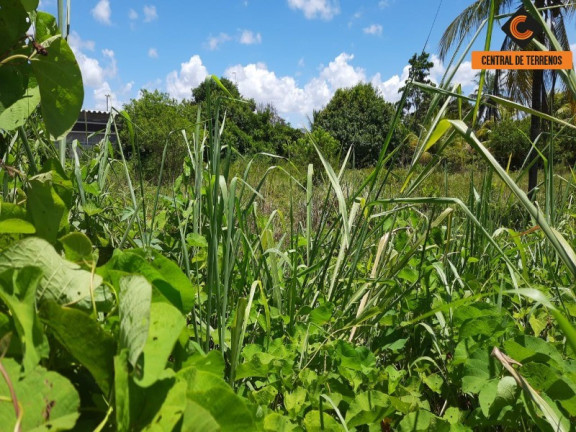 Imagem Terreno à Venda, 8.044 m² em Abrantes - Camaçari