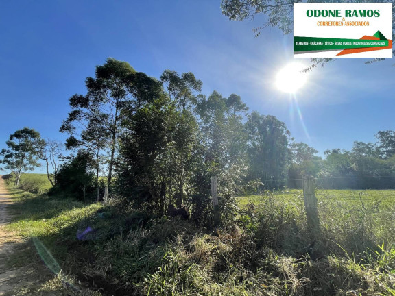 Imagem Chácara à Venda, 4 m² em Nova Santa Rita Imagem Chácara à Venda, 4 m² em Nova Santa Rita