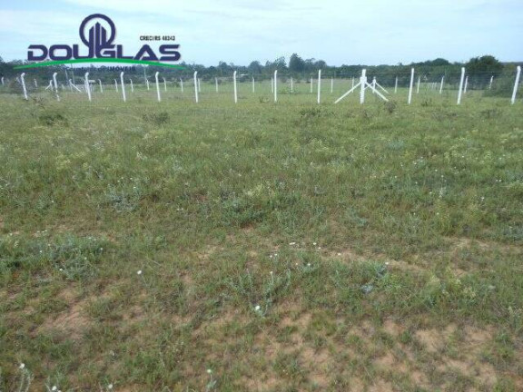 Imagem Terreno à Venda, 544 m² em águas Claras - Viamão Imagem Terreno à Venda, 544 m² em águas Claras - Viamão