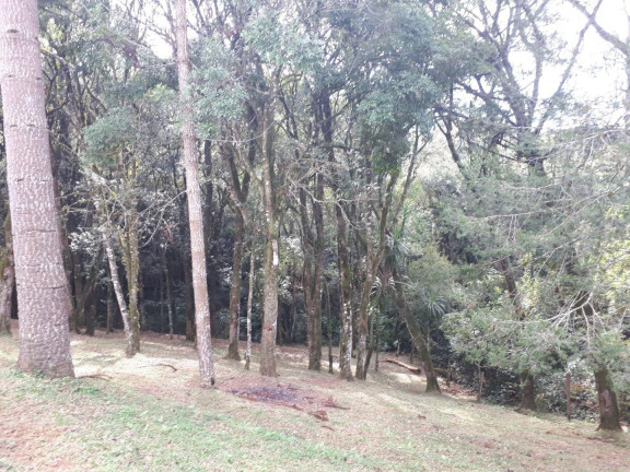 Imagem Imóvel à Venda, 77.000 m² em Barigui - Araucária Imagem Imóvel à Venda, 77.000 m² em Barigui - Araucária