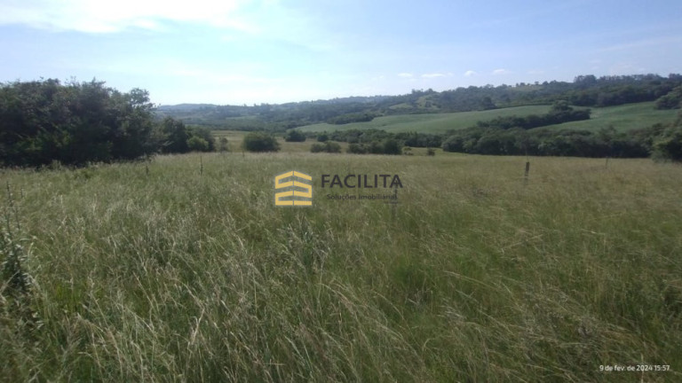 Imagem Imóvel com 2 Quartos à Venda, 180.000 m² em Capela Da Buena - Morro Redondo Imagem Imóvel com 2 Quartos à Venda, 180.000 m² em Capela Da Buena - Morro Redondo