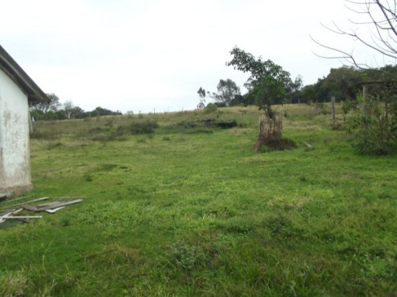 Imagem Chácara com 1 Quarto à Venda, 108.000 m² em Itapuã - Viamão