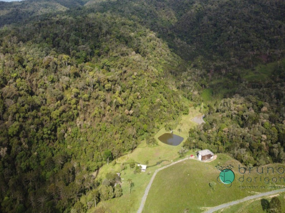 Imóvel com 3 Quartos à Venda, 350.000 m² em Zona Rural - Bom Retiro