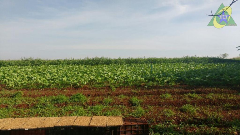 Imóvel à Venda, 92.500 m² em Terras Do Cancioneiro - Paulínia