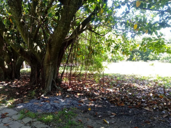 Imagem Casa com 4 Quartos à Venda, 600 m² em Ponta Grossa - Porto Alegre