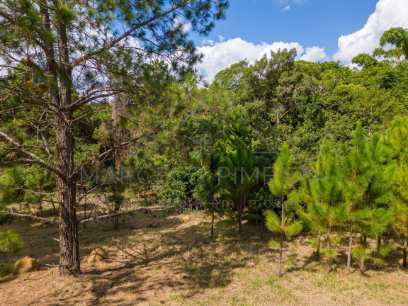Imagem Terreno à Venda, 21.000 m² em Chácaras Alpina - Valinhos