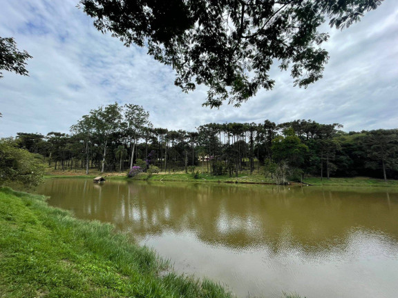 Imagem Casa com 4 Quartos à Venda, 390 m² em Condomínio Jardim Das Palmeiras - Bragança Paulista Imagem Casa com 4 Quartos à Venda, 390 m² em Condomínio Jardim Das Palmeiras - Bragança Paulista