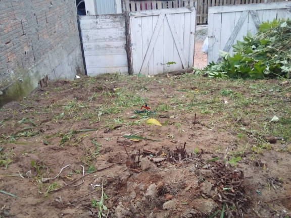 Terreno à Venda, 57 m² em São João Do Rio Vermelho - Florianópolis