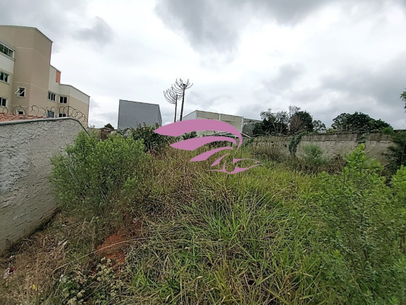 Imagem Terreno à Venda, 500 m² em Bom Jesus - São José Dos Pinhais Imagem Terreno à Venda, 500 m² em Bom Jesus - São José Dos Pinhais