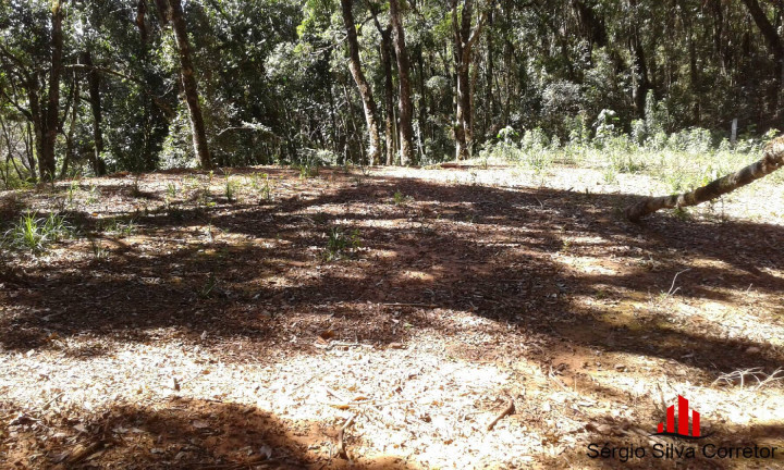 Terreno à Venda, 1 m² em Alto Do Capivari - Campos Do Jordão