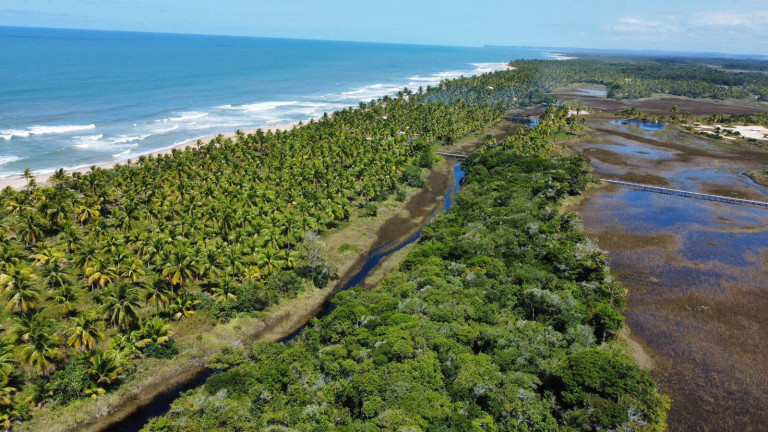 Imagem Chácara à Venda, 20.000 m² em Marau Imagem Chácara à Venda, 20.000 m² em Marau